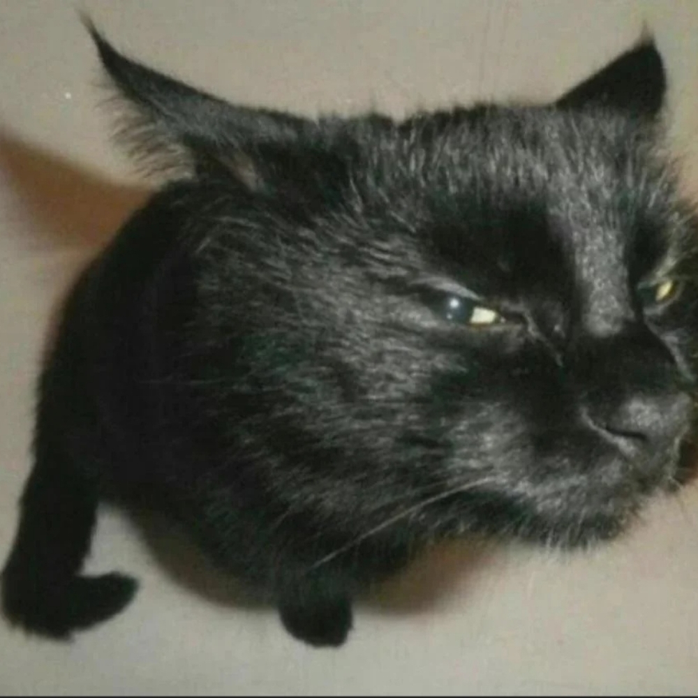 Meet your Posher, Xion